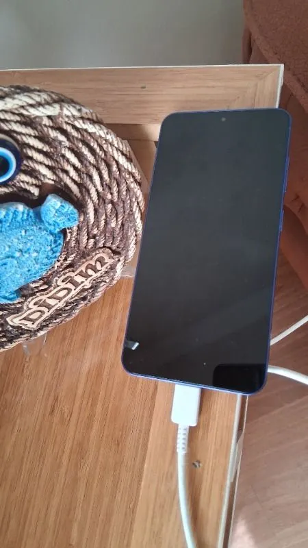 Samsung Galaxy S25