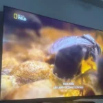 Handan Zengin ürün değerlendirmesi