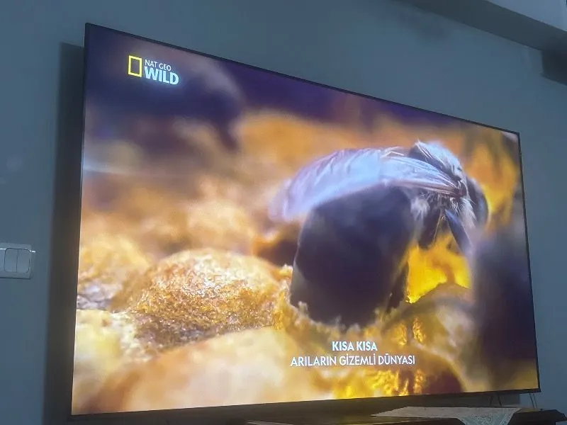 TCL 50P79L 50″ 127 Ekran Uydu Alıcılı 4K Ultra HD Google QLED TV