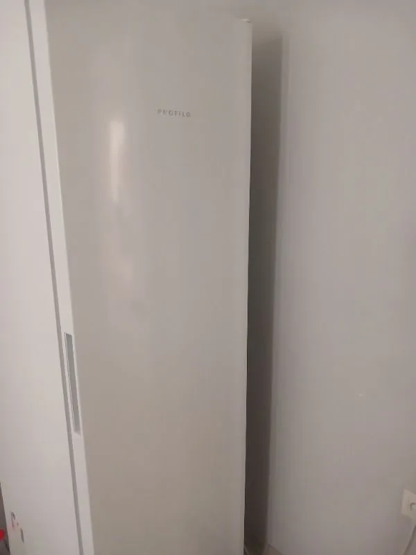 Profilo DF1136WEVV E Enerji Sınıfı 249 Lt Derin Dondurucu