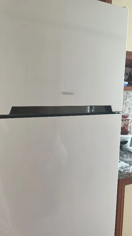 Regal Nf 52021 451 Lt E Enerji Sınıfı No Frost Buzdolabı