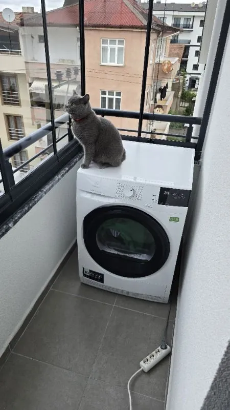 Electrolux 700 Serisi Delicatecare 8 kg A+++ Enerji Sınıfı Isı Pompalı Kurutma Makinesi Özellikler EW7D285UT