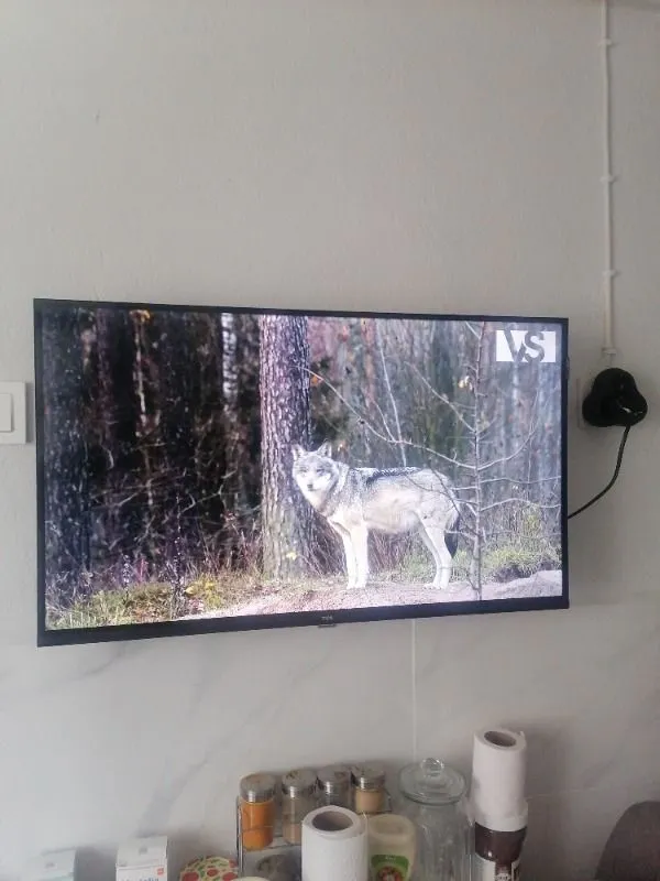 TCL 32S5K 32” 82 Ekran Uydu Alıcılı Full HD Android QLED TV