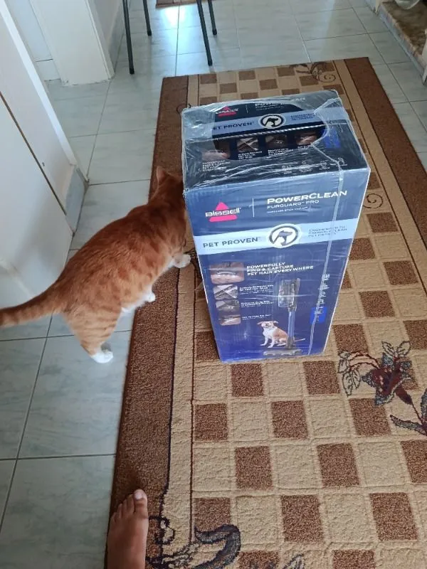 Bissell Furguard Pro 2’si 1 Arada Kablosuz Dikey Süpürge 0,4 L Toz Haznesi ile Güçlü Emiş