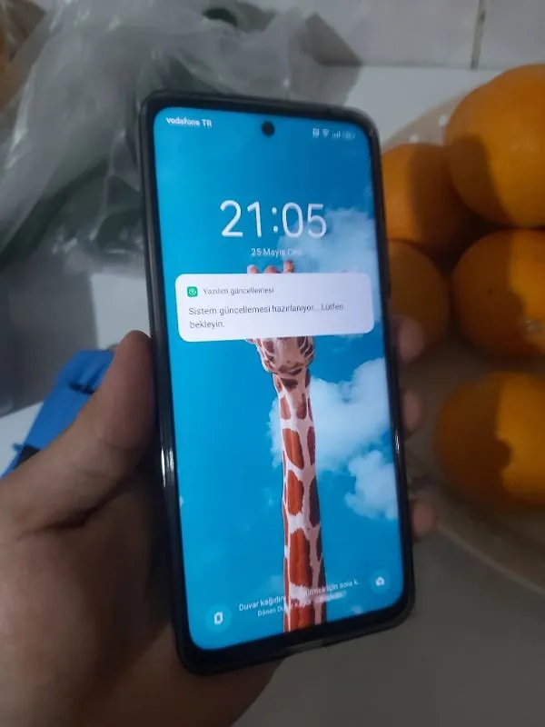 Realme C55