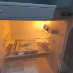 Gül Zorlu ürün değerlendirmesi