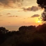 Vildan Özkan ürün değerlendirmesi