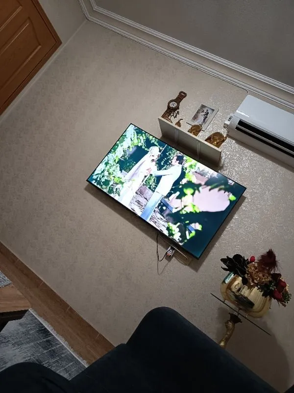 Altus AL65 9825 65” 165 Ekran Uydu Alıcılı 4K Ultra Hd Google LED Tv