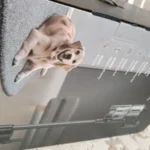 Merve Yalçın ürün değerlendirmesi