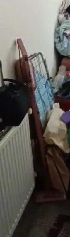 Fantom Pratıc-S P 1200 Dikey Süpürge Rose Gold Toz Haznesi Var 0,2 L Güçlü Emiş Teknolojisi