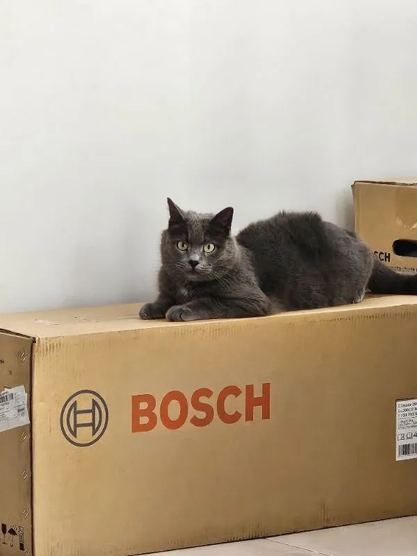 Bosch Climate CL2001u 12.000 Btu A++ Inverter Klima Hızlı Soğutma Teknolojisi ile Etkili