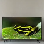 İlknur Ocak ürün değerlendirmesi