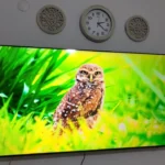 Oya Tanrıverdi ürün değerlendirmesi