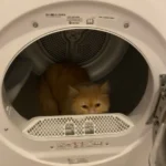 Tülay Karagöz ürün değerlendirmesi