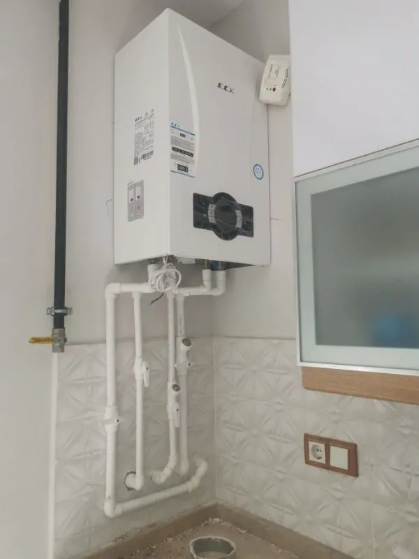 E.C.A. Proteus Premix 24 kw Yoğuşmalı Kombi (Baca Dahil)
