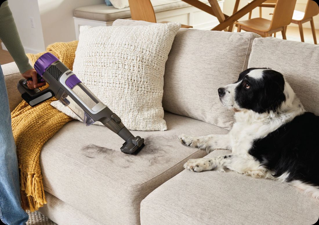 Shark Powerdetect Clean&empty Pet Başlıklı Şarjlı Dikey Süpürge