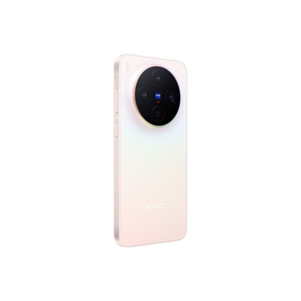 Vivo X300