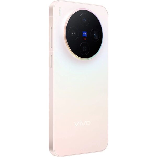 Vivo X300