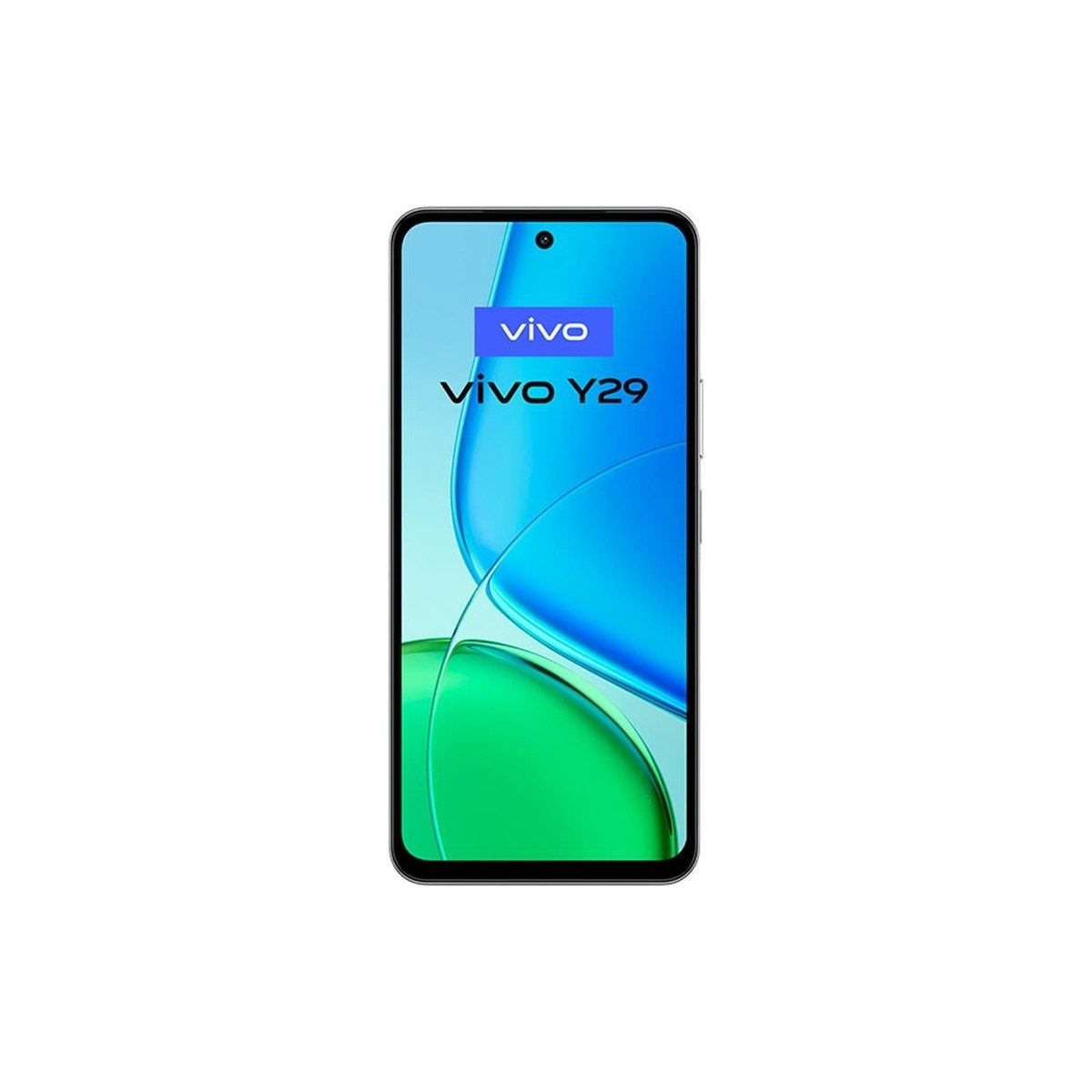 Vivo Y29 Standart